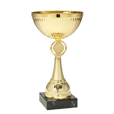 LISTE des POULES Coupe X2 Vétérans