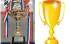 Coupe de france Coupe du Comité